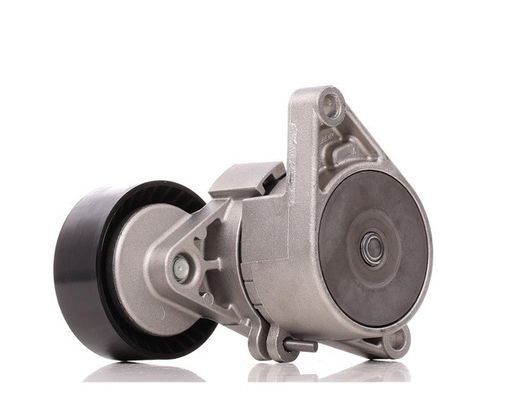 خرید BMW 11281433571 قطعات موتور A / C سرپنتین کمربند کش با چرخ online manufacture