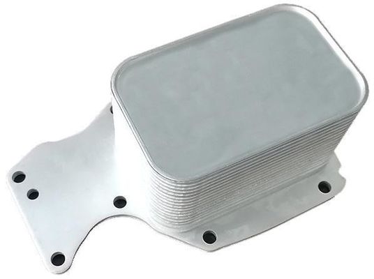 11428574005 قطعات موتور BMW خنک کننده روغن