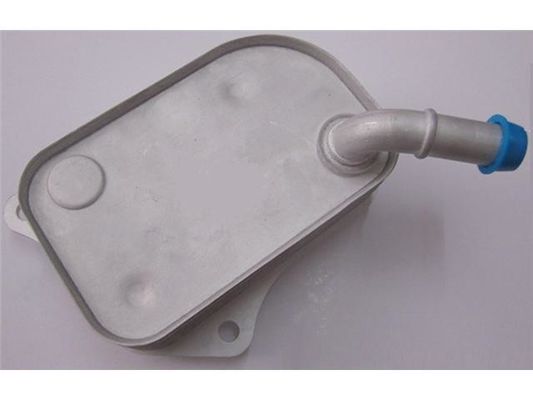 06B117021 قطعات موتور خنک کننده روغن
