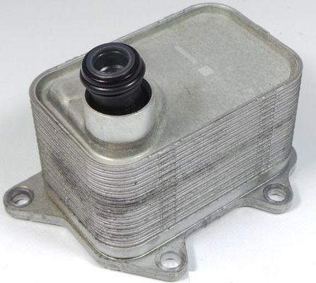 06L117021E قطعات موتور خنک کننده روغن